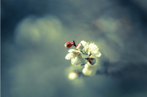 Ảnh chụp Màn hình 2015-03-27 lúc 10.31.19