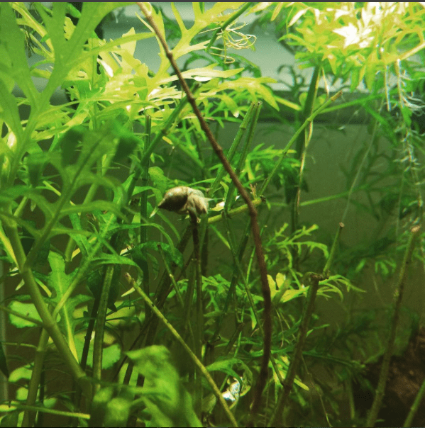 Ảnh chụp Màn hình 2016-05-17 lúc 12.00.53