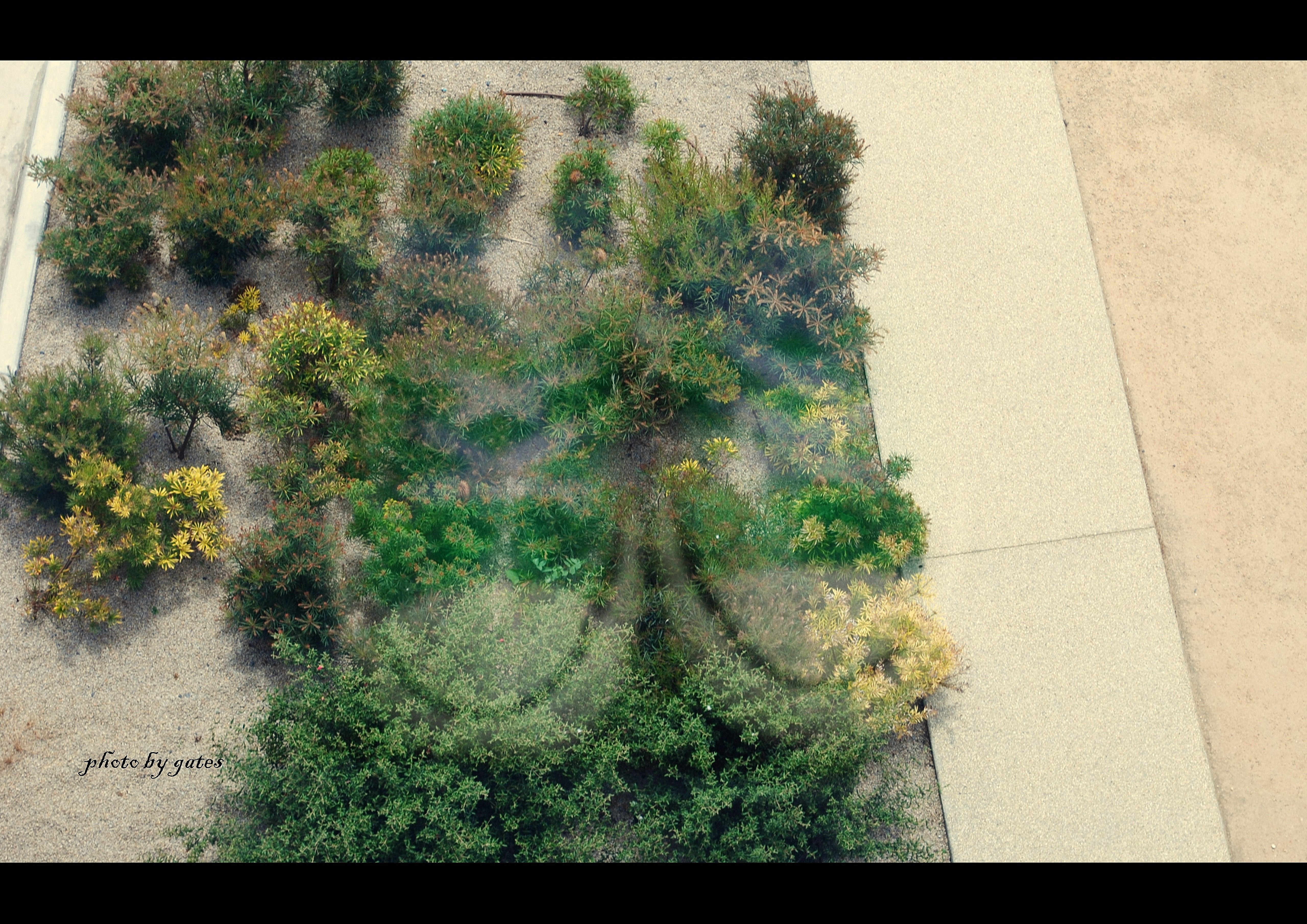 lovely things (48).jpg