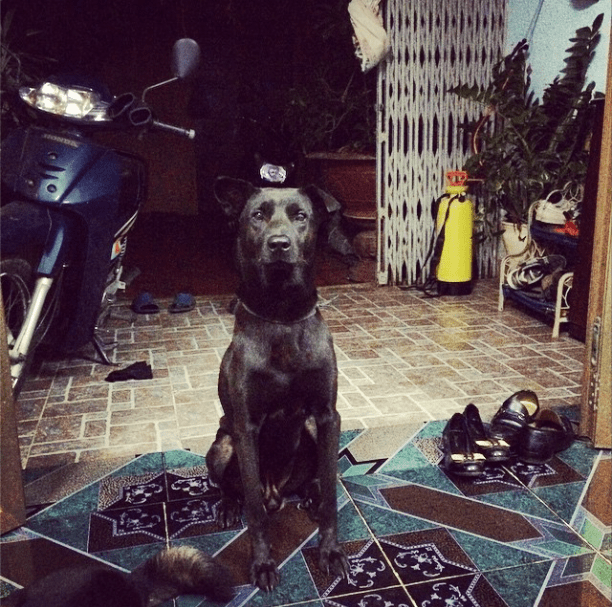 Ảnh chụp Màn hình 2014-11-30 lúc 13.50.20.png