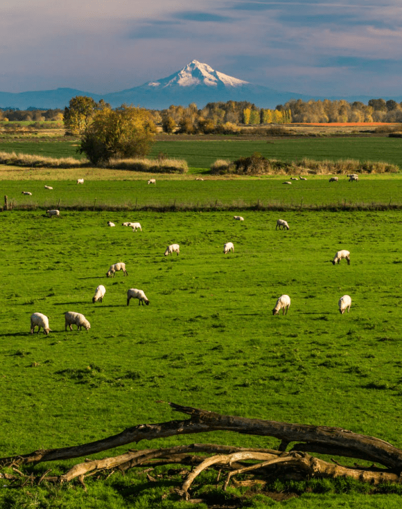 Ảnh chụp Màn hình 2016-12-21 lúc 16.44.20.png
