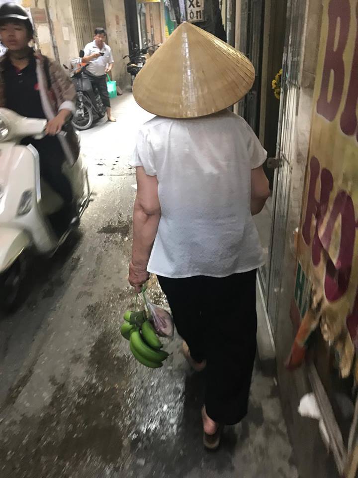 18426051_10207708542546450_787237777_n