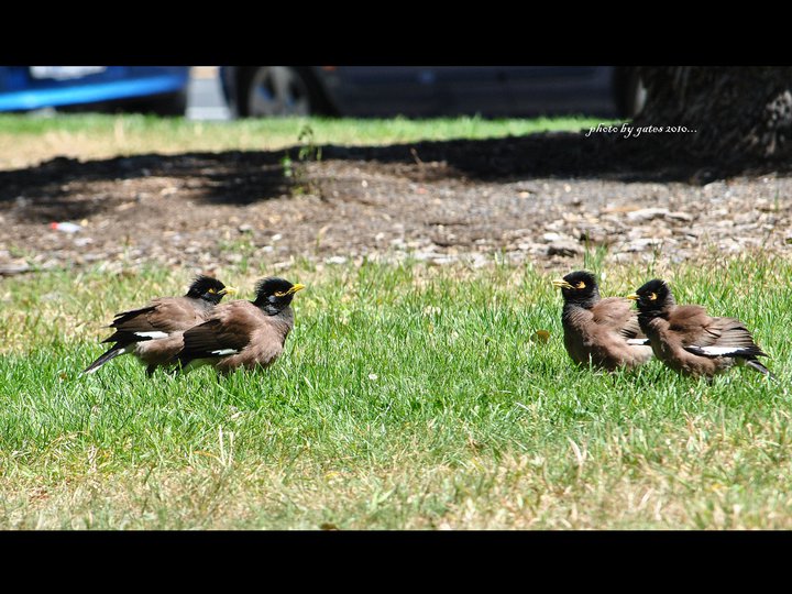 28647_1219471741808_5884367_n