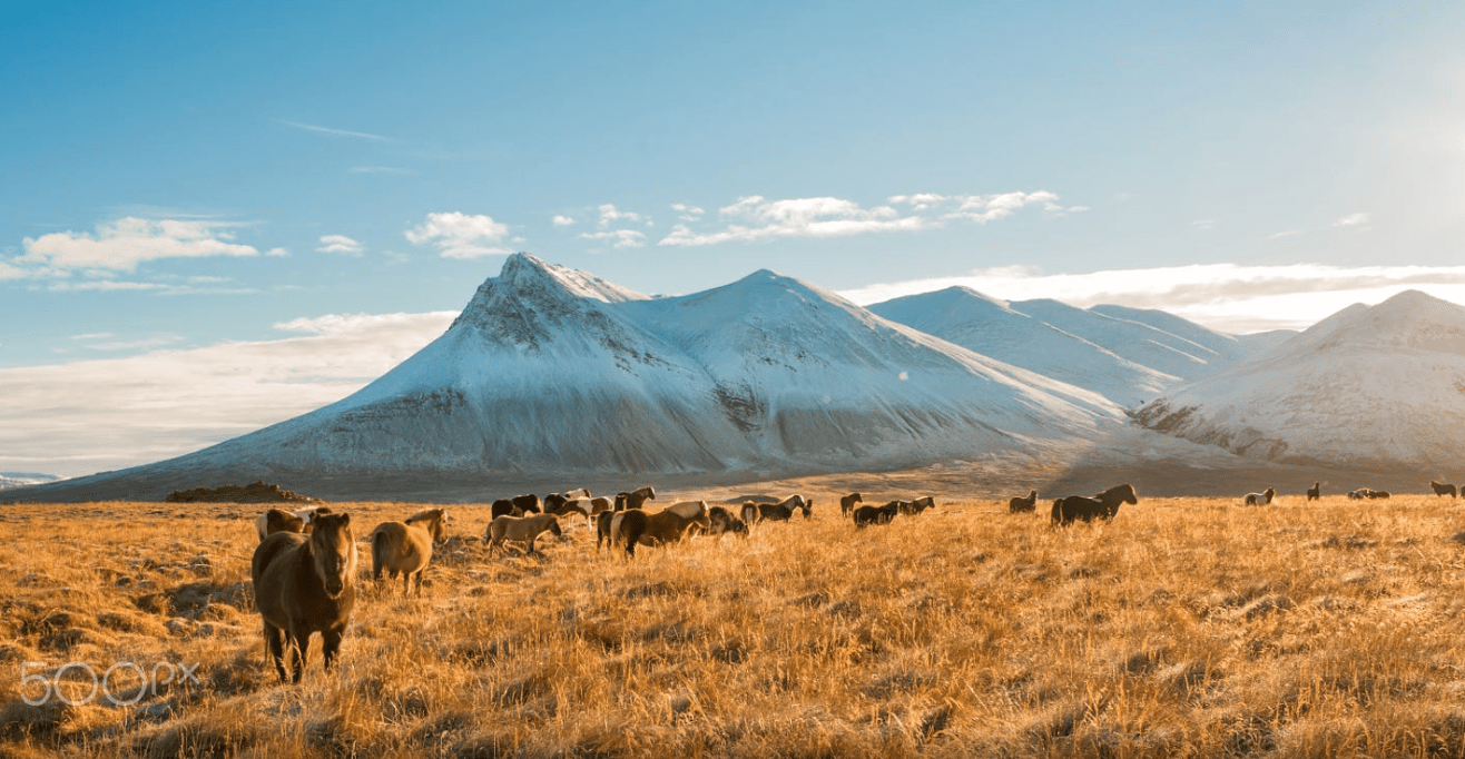 Ảnh chụp Màn hình 2017-05-21 lúc 15.27.44.png