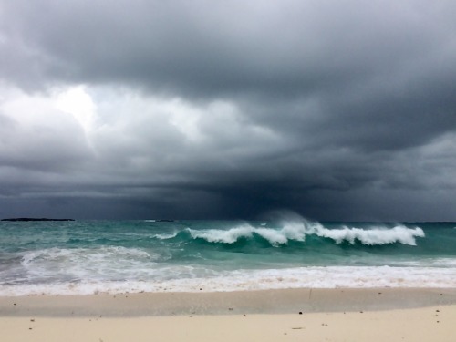 Not everything is supposed to become something beautiful