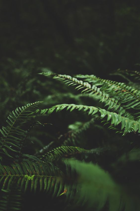 ';lkjhgfdsaưertyuijkl;''jhgfdszasẻdtfyguhij.k:;:'\:. .jpg