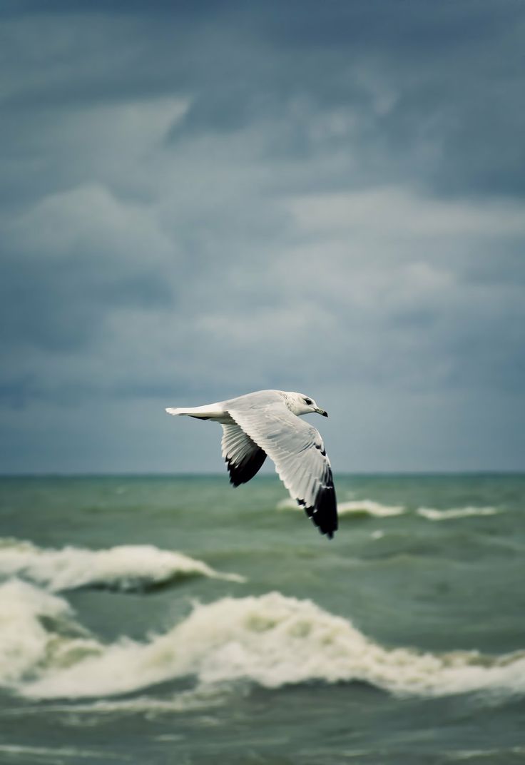 03c22a5881bb1c726adacc8f5b74aaff