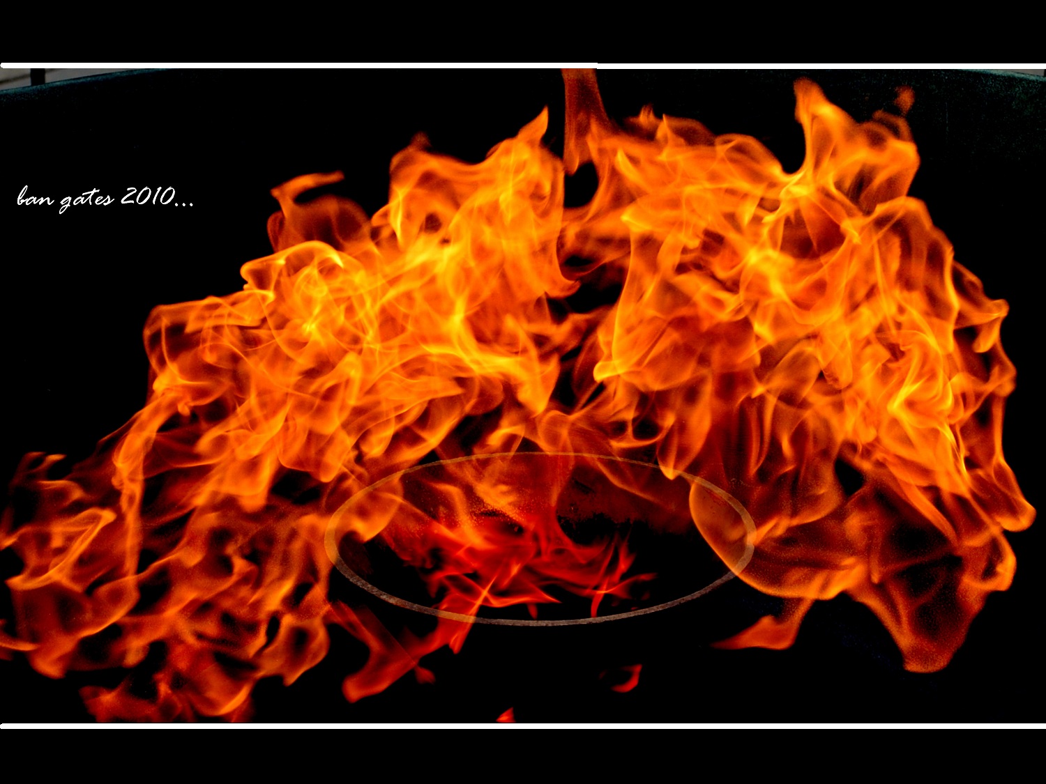 lượn- vơ - nhặt- trộm4.jpg