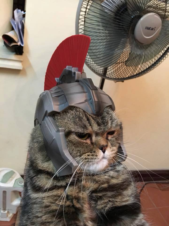 23754847_1771025816249557_6479451344335480379_n