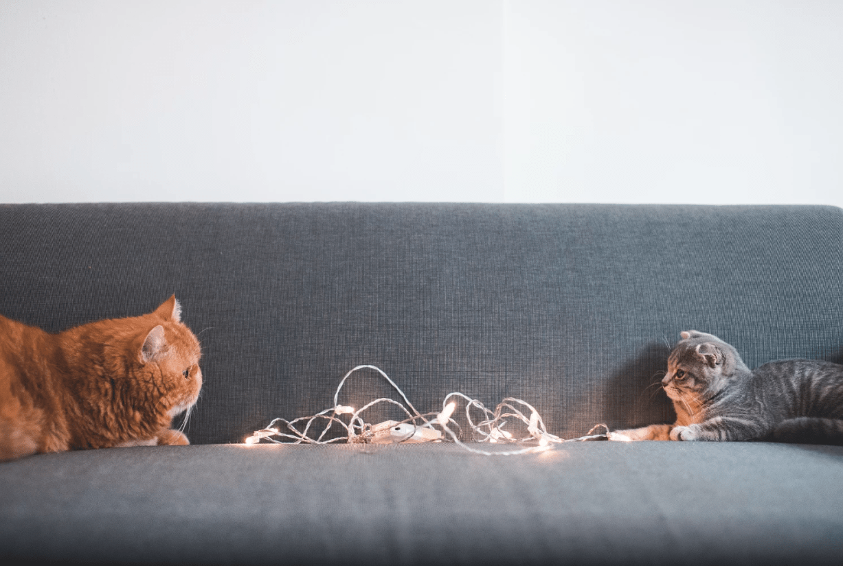 Ảnh chụp Màn hình 2017-11-15 lúc 13.57.35.png