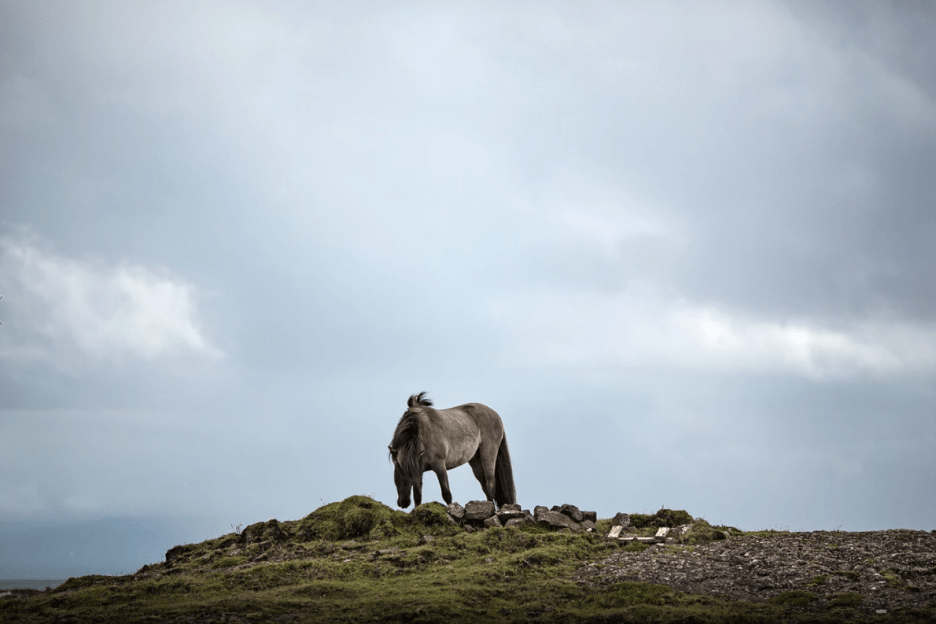 Ảnh chụp Màn hình 2017-11-16 lúc 09.21.39.png