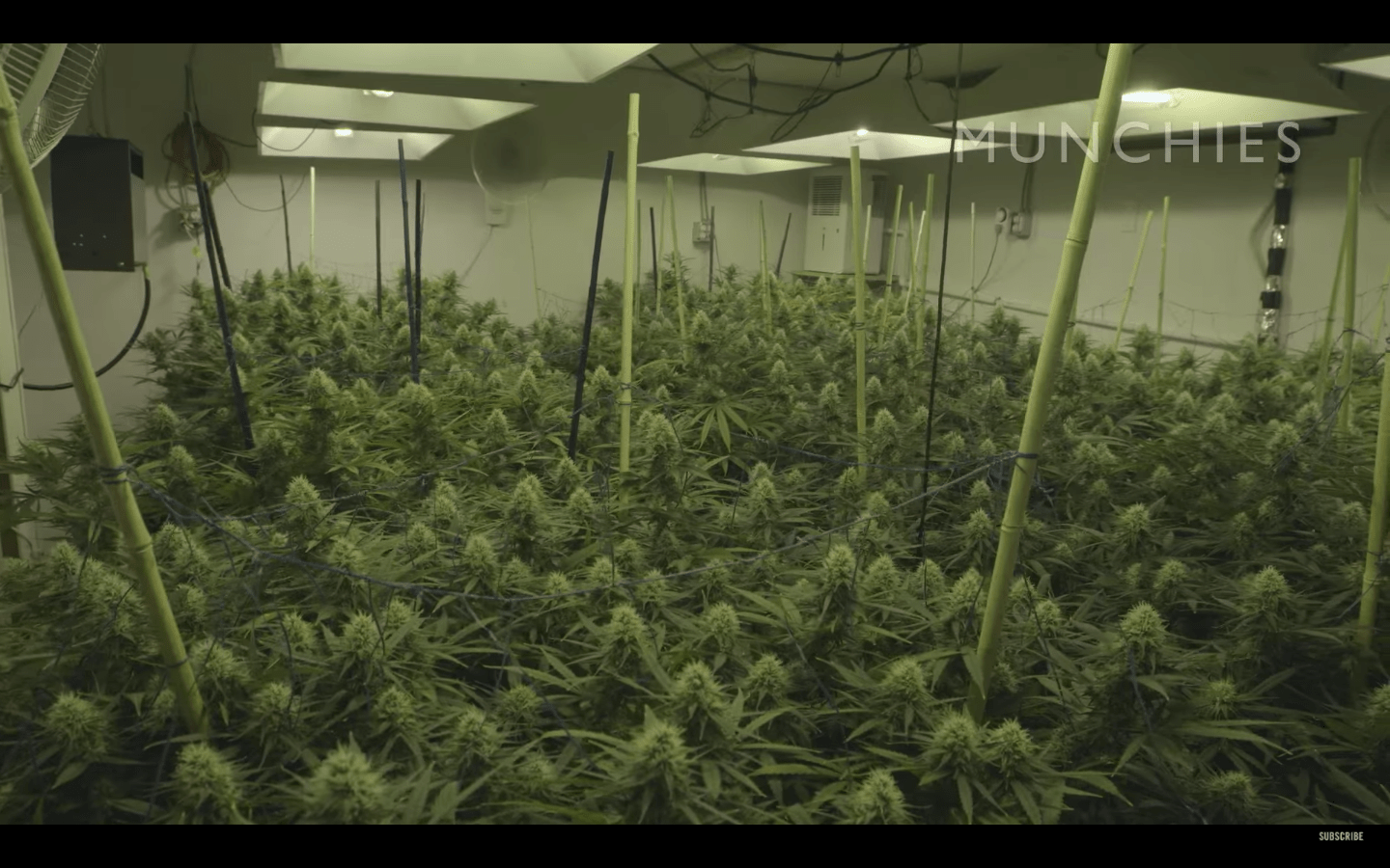 Ảnh chụp Màn hình 2017-12-16 lúc 15.30.04.png