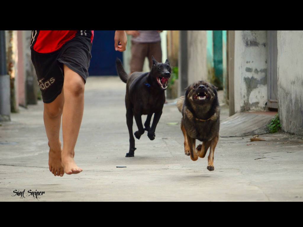 #733: 1 chân chạm&nbsp;đất