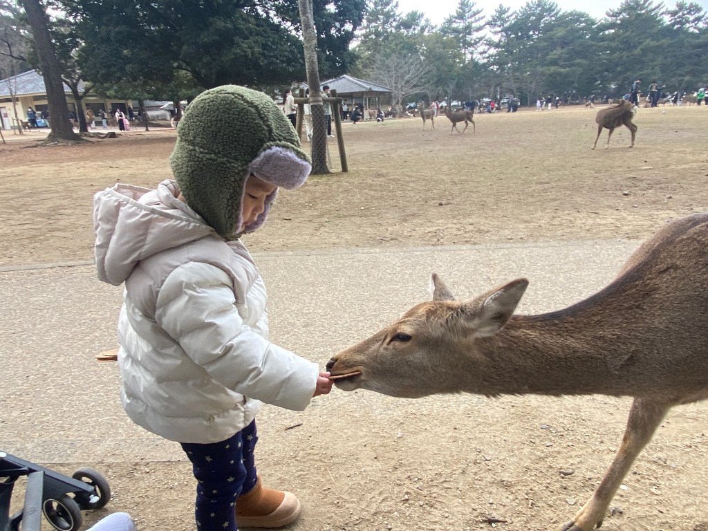 #757 Comparison is the thief of&nbsp;joy